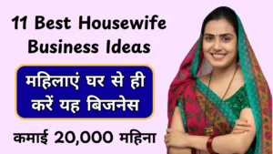 Housewife Business Ideas